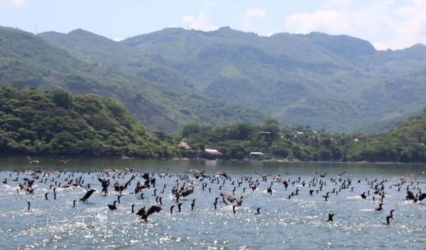 Stunning natural places to practice ecotourism in Chiapas: photo 9