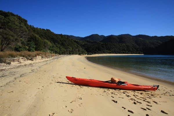 What To Do in Nelson City, New Zealand: photo 4