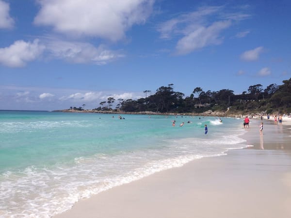 One blissful week in Tasmania: photo 2
