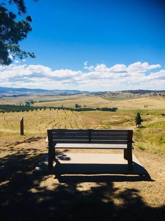 National Arboretum Canberra: photo 4