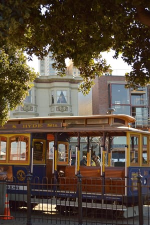 Winter in San Francisco: photo 11