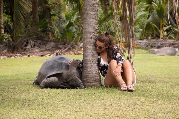 SEYCHELLES - One Month in Paradise: photo 10