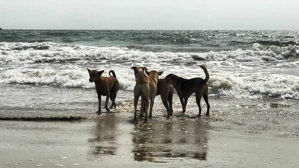 A Three-Day Trip to Gokarna: Things you Shouldn’t Miss Out: photo 7