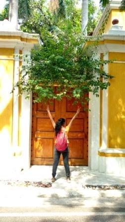 Pondicherry : A Weekend Getaway: photo 6