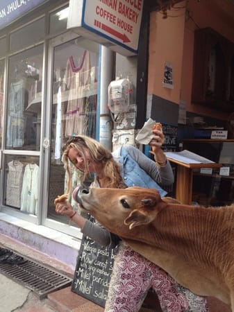 Its not all about the yoga in Rishikesh: photo 4