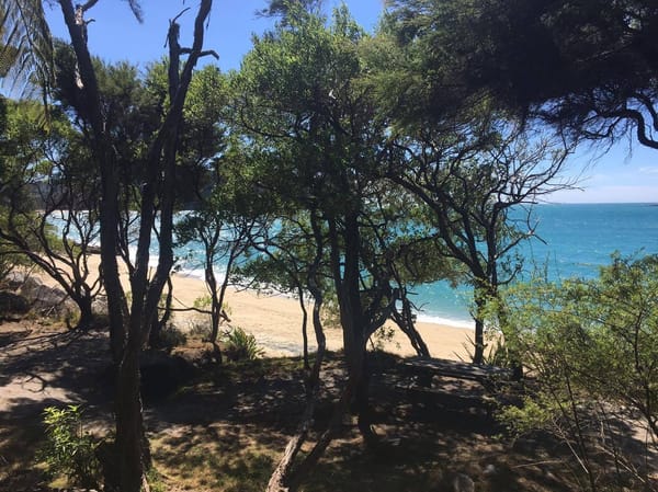 New Zealand South Island: Exploring the Abel Tasman: photo 4