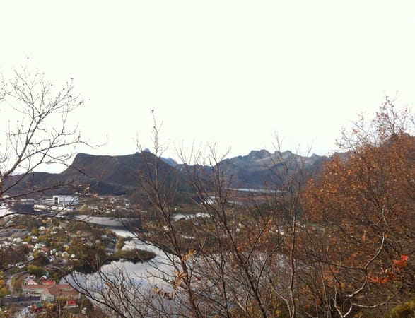 A Trip to the Arctic Circle: the Lofoten archipelago: photo 4