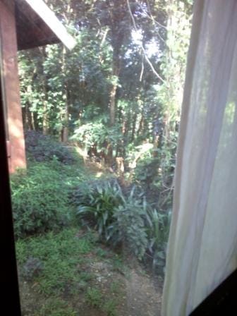 Paradise Ranch: Conservation Park in Clark Pampanga, Philippines: photo 14