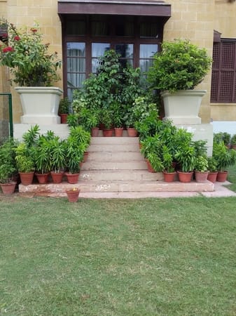A Short Visit/Tour to Governor’s House Karachi: photo 2