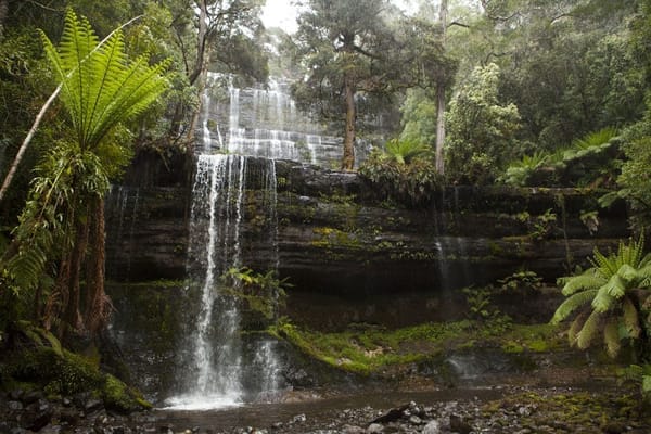 Tasmania: The Apple Isle: photo 2