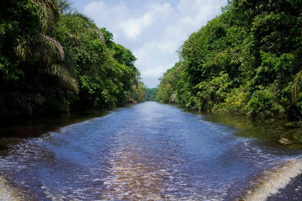 No roads, Tortuguero canals of Costa Rica: photo 4