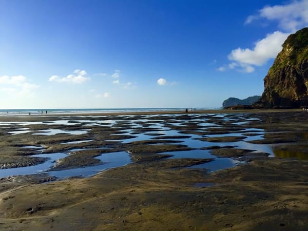 Auckland - beneath the busy city life: photo 4