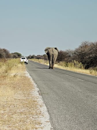 Namibia: Self-drive road trip by 2WD: photo 2