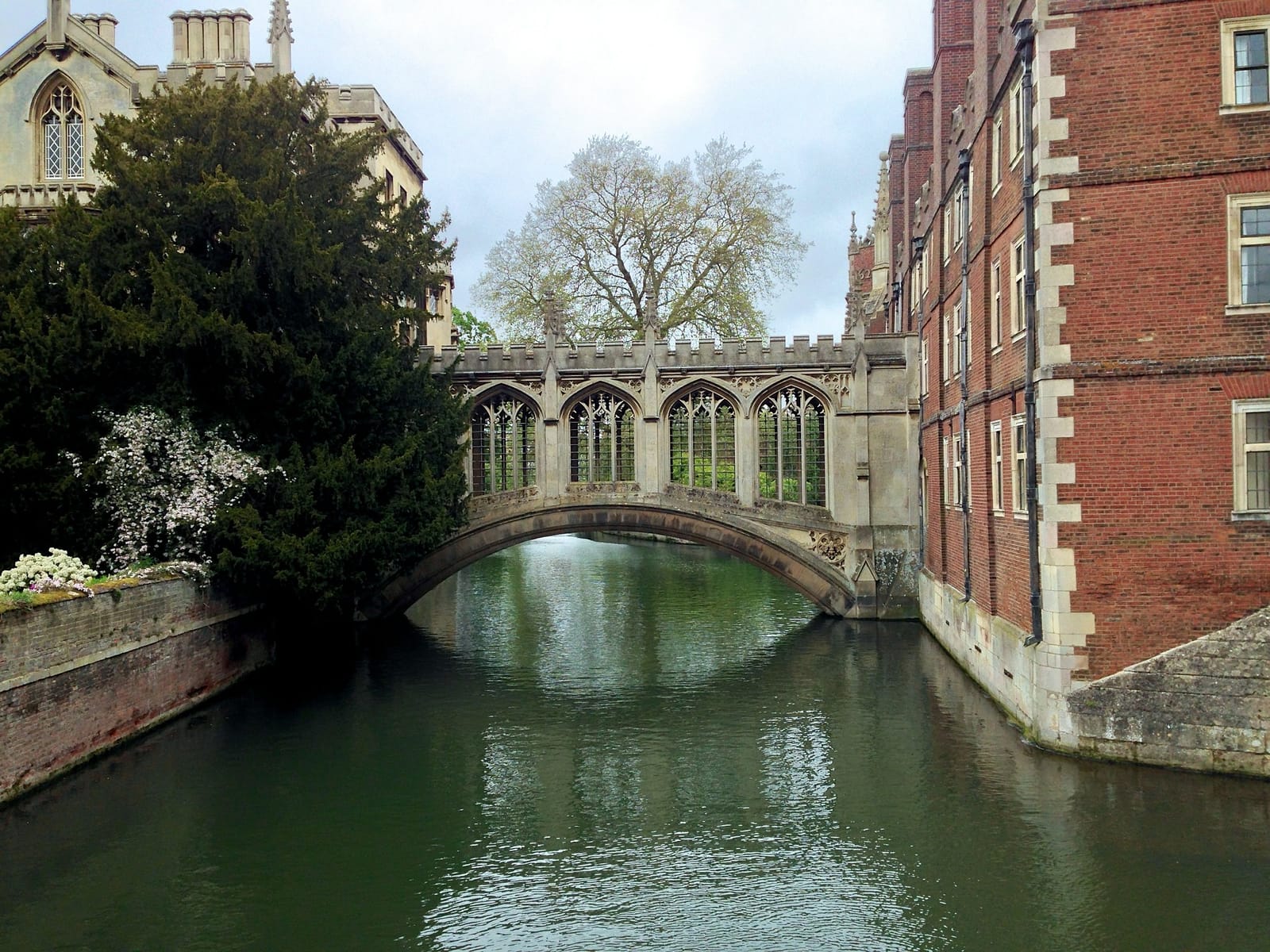Cambridge: the home of history, knowledge and – fun!