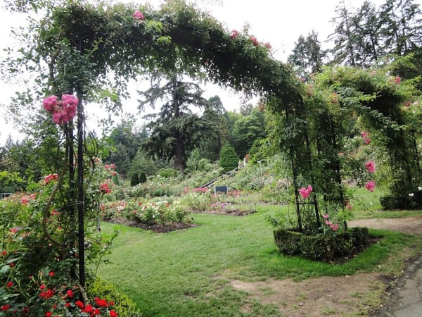 Oregon: the most beautiful places of interest in the state: photo 2