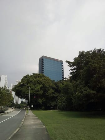 Singapore - Advice for a first time traveller: photo 1