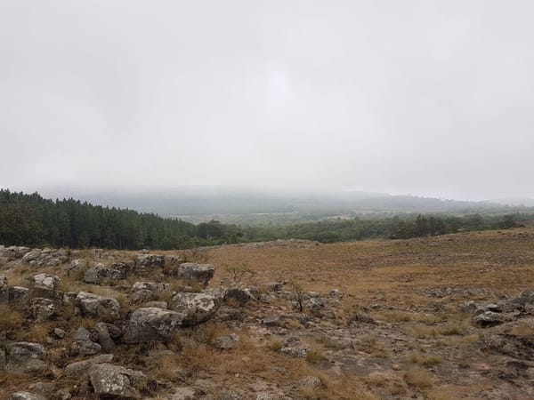 Exploring the Soutpansberg mountain range: Hanglip Nature Reserve: photo 3