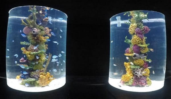 WONDER INSIDE THE OCEAN: Manila Ocean Park: photo 2