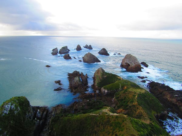 Natural wonders in the Catlins region: photo 14