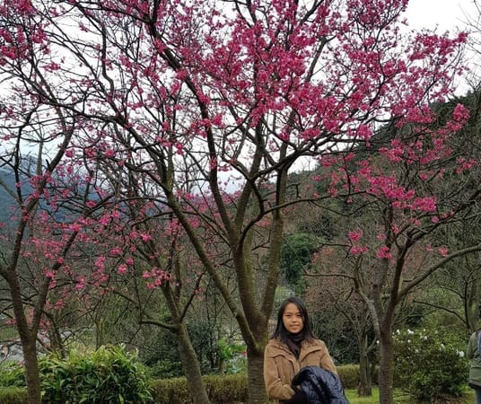 4 Attractions You Should Never Miss When Visiting Taipei: photo 4