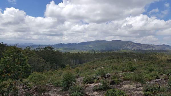 Things to know when visiting Ella for the weekend: photo 3