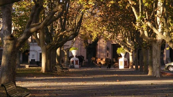 Get a Taste of Argentinian Tradition in San Antonio de Areco: photo 1