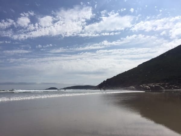 Pristine Beaches In Wilsons Promontory Victoria Australia: photo 1