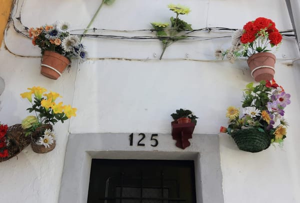 An Alternative Travel Guide to Évora: photo 2