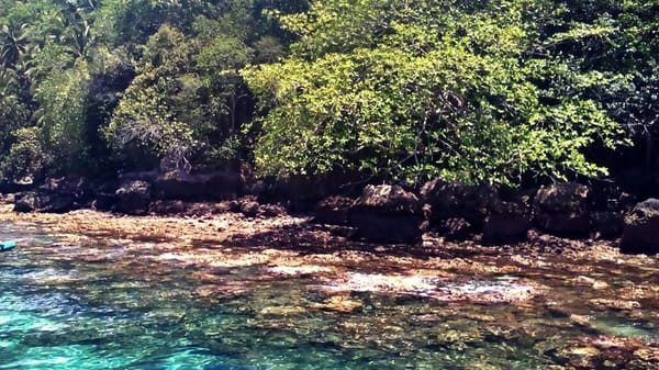 Hotelier's off duty adventure: Samal-Talikud Island Hopping: photo 2