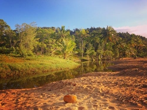 Bingil Bay - Australia’s hidden tropical paradise: photo 1