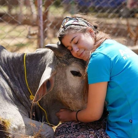 The best place for animal lovers in Udaipur: Animal Aid Unlimited: photo 1