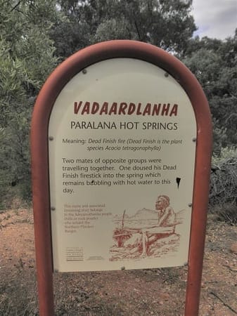Flinders Ranges: Ancient earth and fascinating wildlife: photo 28