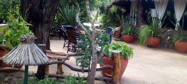Amboseli Bound, Kajiado County, Kenya: photo 6