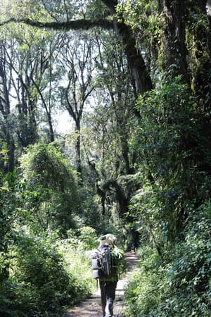 Tanzania: Kilimanjaro - The highest freestanding mountain in the world: photo 1