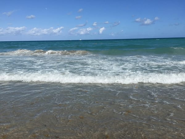 Hollywood Beach Florida : A Must See: photo 6