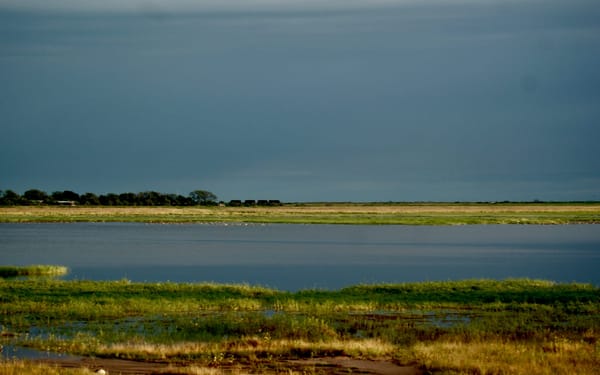 Cruising in Chobe National Park: photo 1