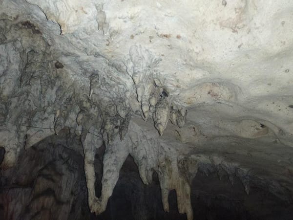 Bohol, Philippines: A Place with Wonderous Things: photo 8