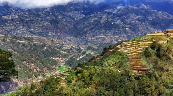 Top Places to Eat in Baguio City: photo 1