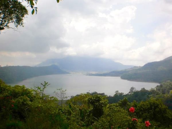 Bali: Guide to the Island of the Gods: photo 7