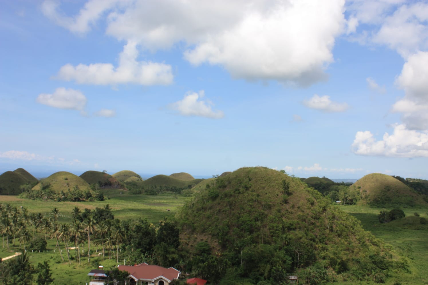 BOHOL, PHILIPPINES: More Than Just Chocolate Hills