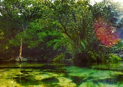 MÉXICO :THE PORTALS TO AN UNKNOWN PARADISE CALLED CENOTES: photo 10