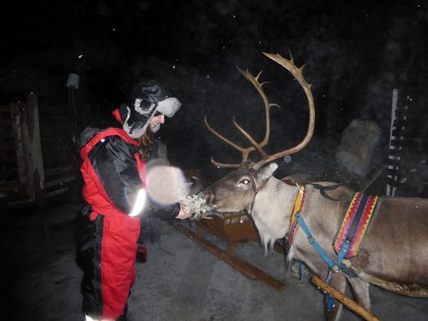 72 hours in and around Rovaniemi, Lapland: photo 7