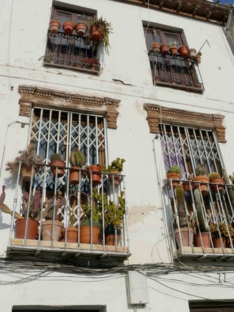 Grenade, a little big city (1/2): photo 5