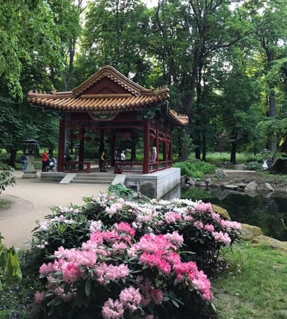 The Ultimate Guide To Warsaw: Food, Art & Things To Do.: photo 28