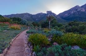 Six Budget-friendly Things To Do In Cape Town, South Africa: photo 8