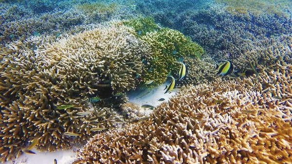 Six memorable features of Gili Trawangan, Indonesia: photo 3