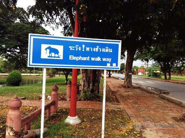Ayutthaya: The Lost City of Siam: photo 3