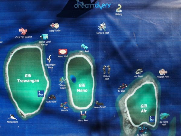 The Gili Islands: Which is the most venomous snake in the world?: photo 1
