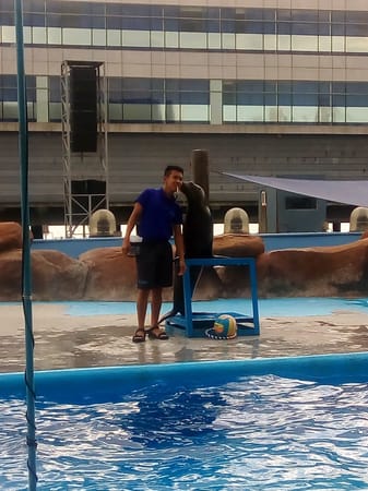 WONDER INSIDE THE OCEAN: Manila Ocean Park: photo 10