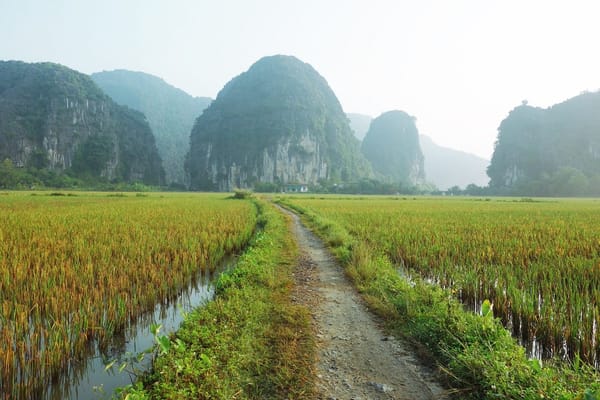 Roadtrip through Vietnam by Motorbike: photo 25
